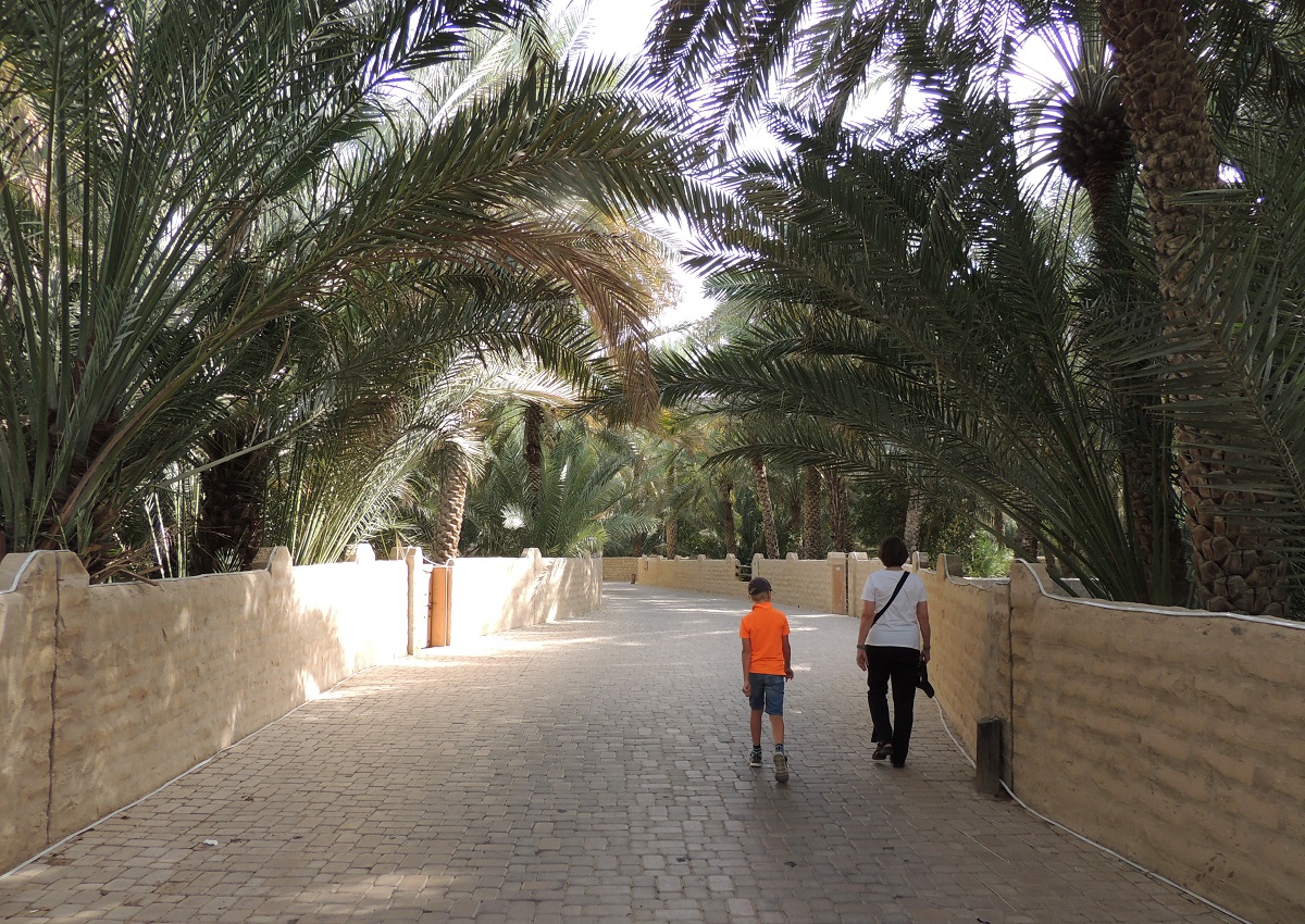 Al Ain Oase, Forenede Arabiske Emirater