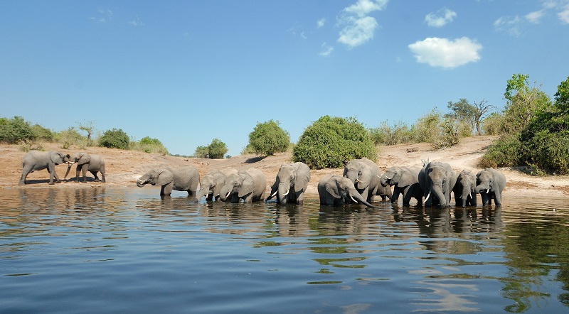 Chobe National Park