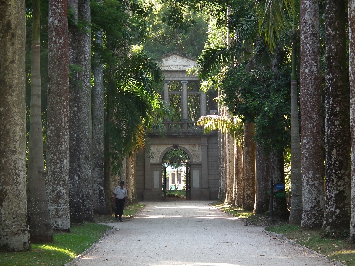 Botanical Garden, Rio de Janeiro
