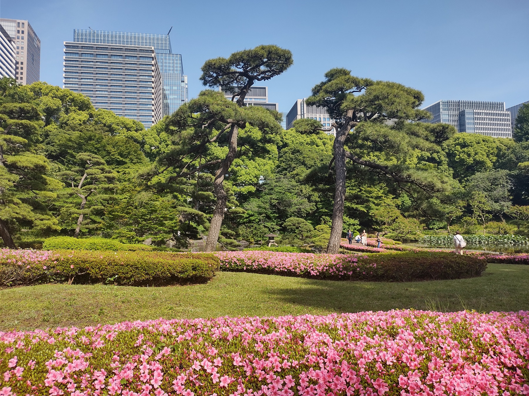 Kejserpaladsets Østlige Have, Tokyo
