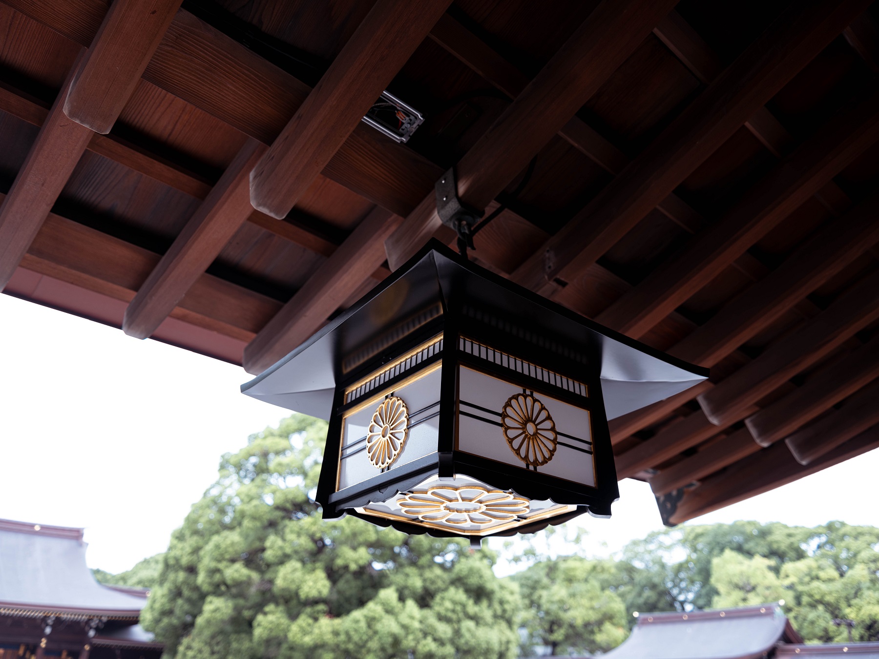 Meiji Jingū, Tokyo