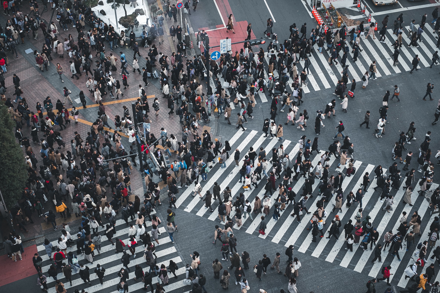 Shibuya Crossing, Tokyo