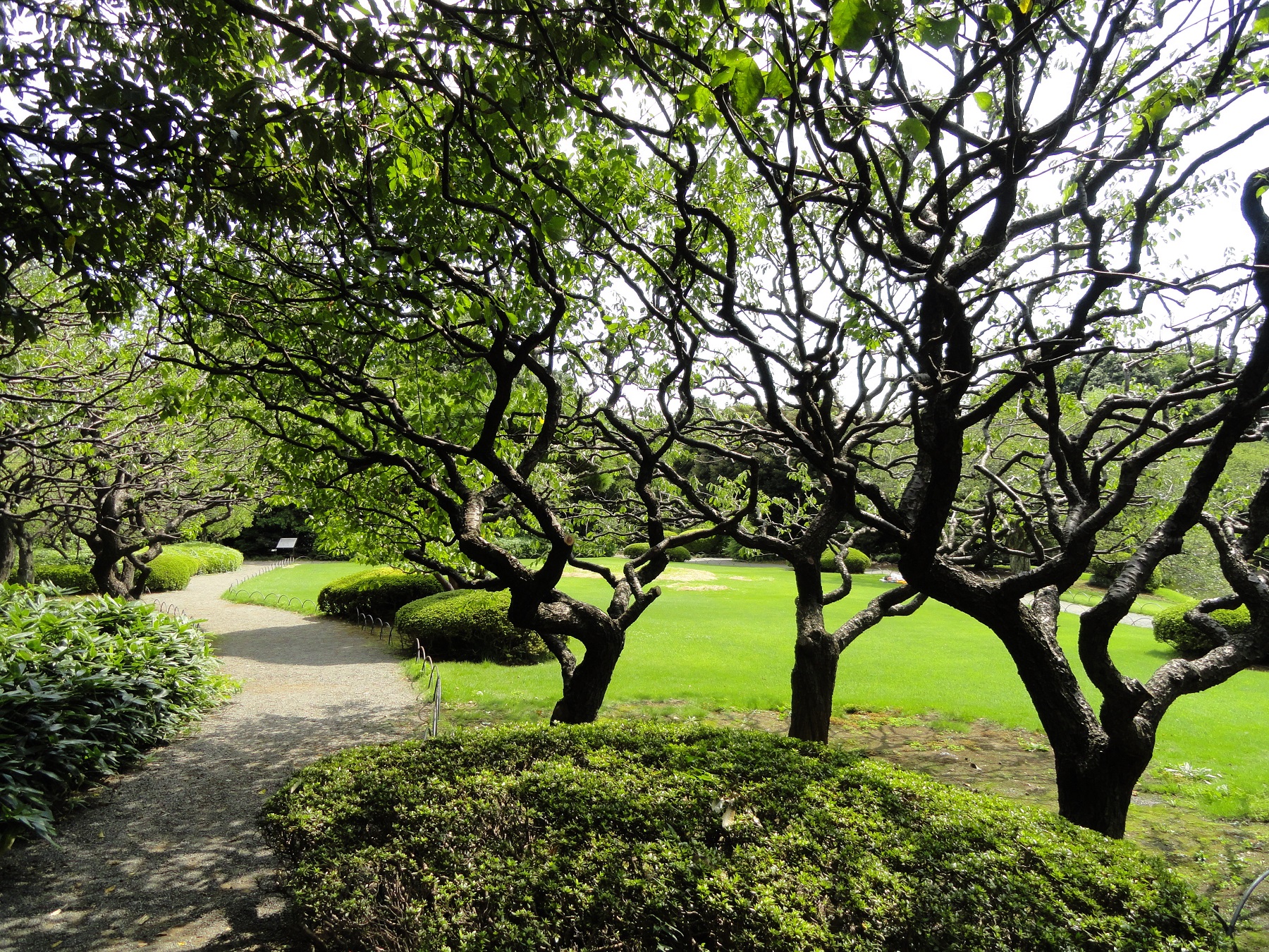 Shinjuku Gyo-en, Tokyo