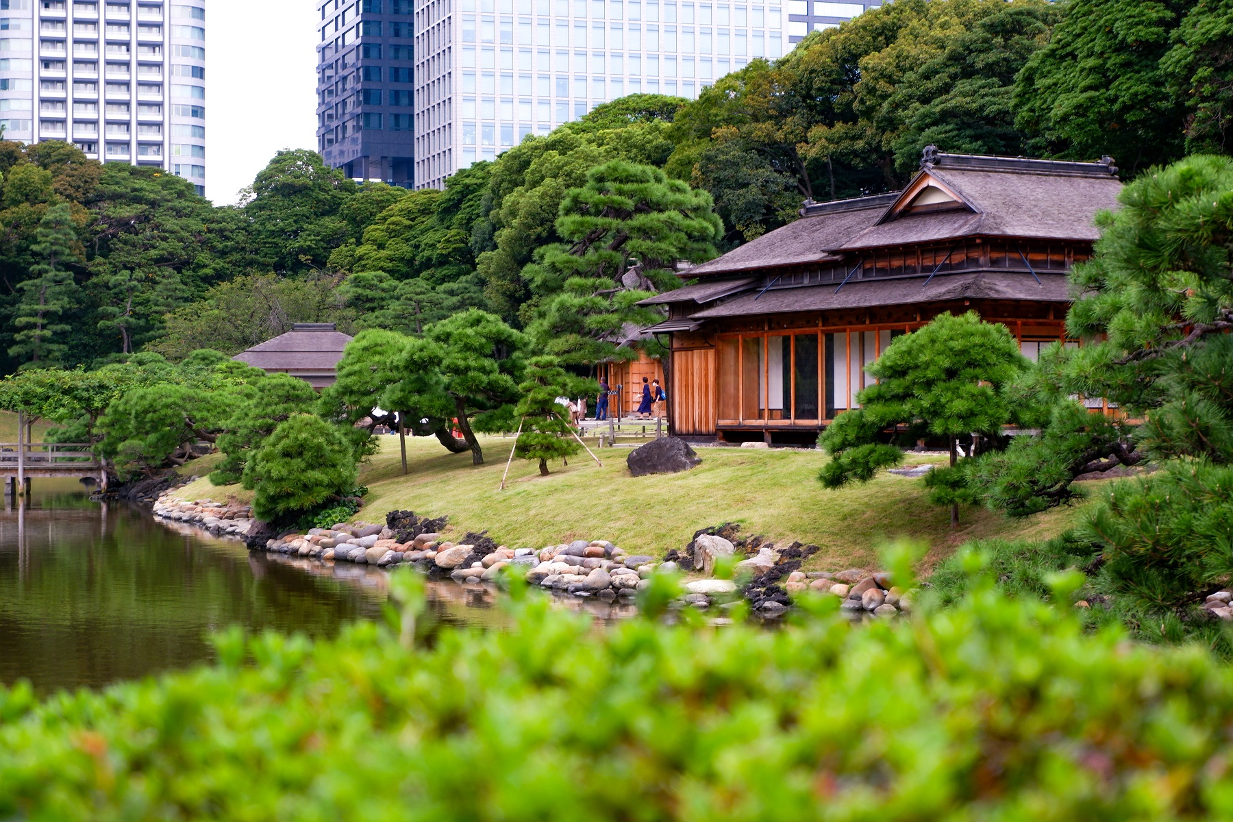 Hama-rikyū onshi teien, Tokyo