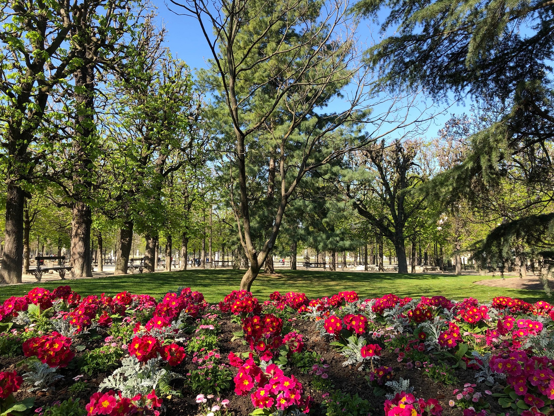 Jardin Luxembourg, Paris