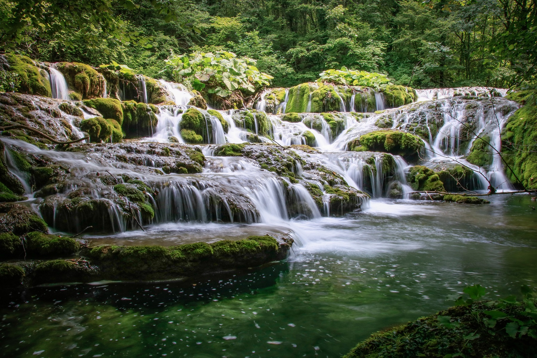 Nerei-Beușnița Nationalpark, Rumænien