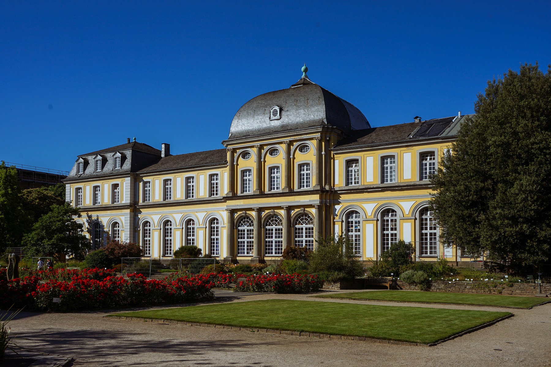 Botanisk Have, Bonn